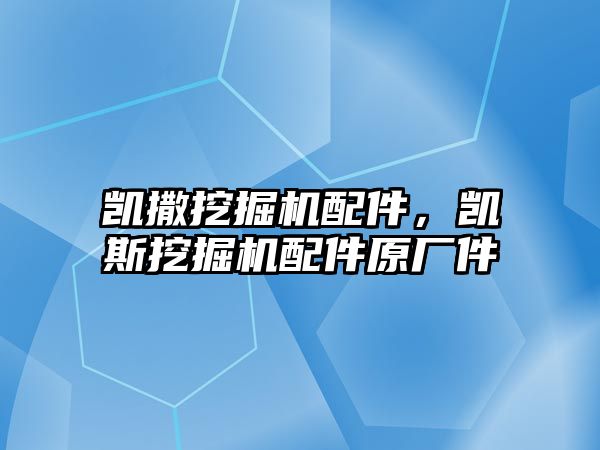 凱撒挖掘機配件，凱斯挖掘機配件原廠件