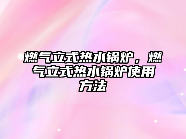 燃?xì)饬⑹綗崴仩t，燃?xì)饬⑹綗崴仩t使用方法