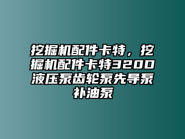 挖掘機(jī)配件卡特，挖掘機(jī)配件卡特320D液壓泵齒輪泵先導(dǎo)泵補(bǔ)油泵