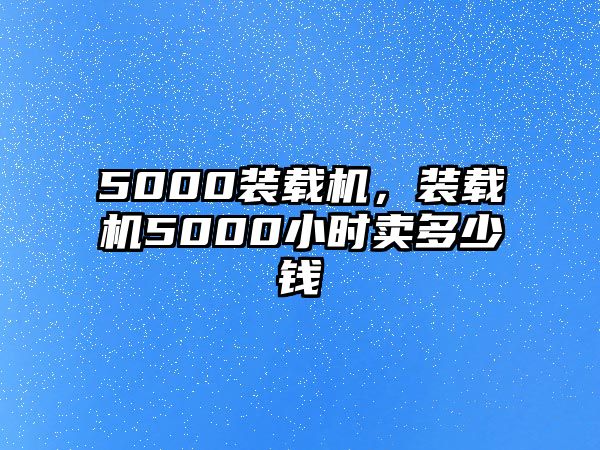 5000裝載機(jī)，裝載機(jī)5000小時(shí)賣多少錢