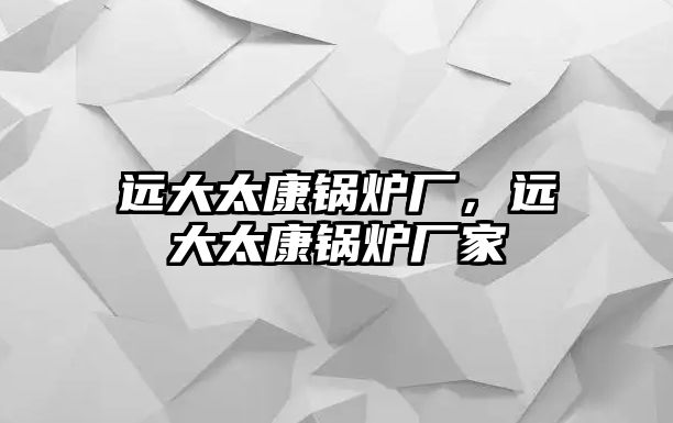 遠大太康鍋爐廠，遠大太康鍋爐廠家