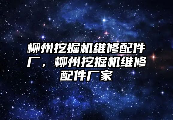 柳州挖掘機(jī)維修配件廠，柳州挖掘機(jī)維修配件廠家