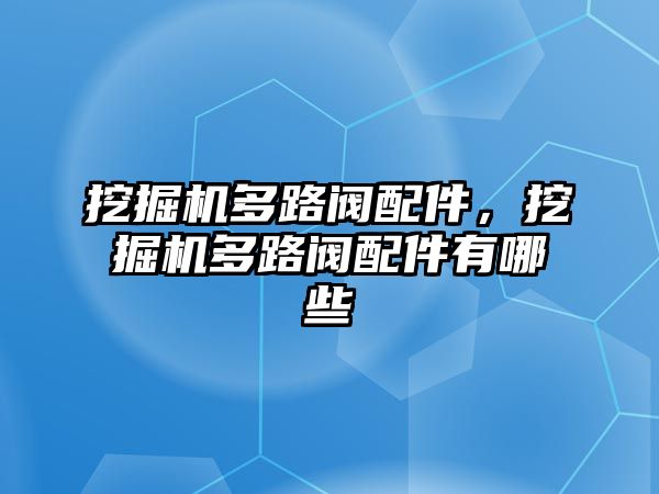 挖掘機(jī)多路閥配件，挖掘機(jī)多路閥配件有哪些