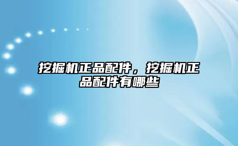 挖掘機正品配件，挖掘機正品配件有哪些