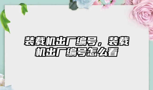 裝載機出廠編號，裝載機出廠編號怎么看