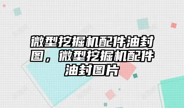 微型挖掘機配件油封圖，微型挖掘機配件油封圖片