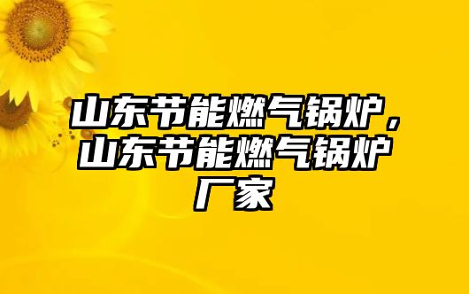 山東節(jié)能燃?xì)忮仩t，山東節(jié)能燃?xì)忮仩t廠家