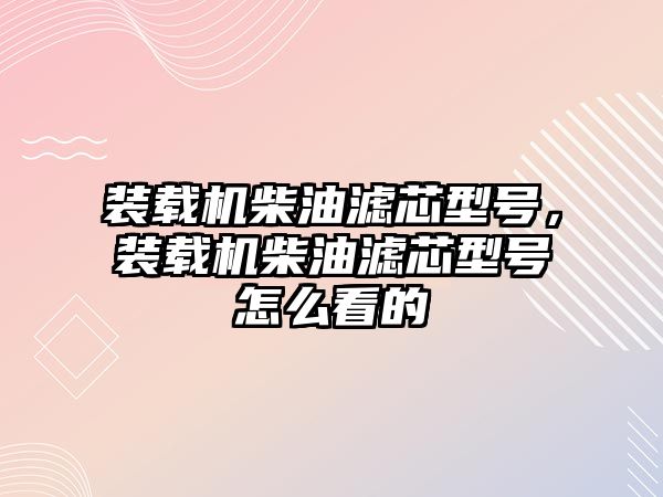 裝載機(jī)柴油濾芯型號，裝載機(jī)柴油濾芯型號怎么看的