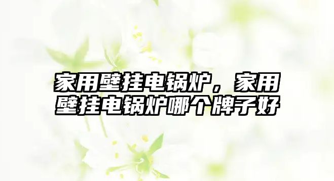 家用壁掛電鍋爐，家用壁掛電鍋爐哪個牌子好