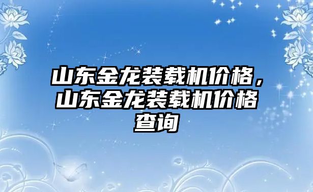 山東金龍裝載機價格，山東金龍裝載機價格查詢