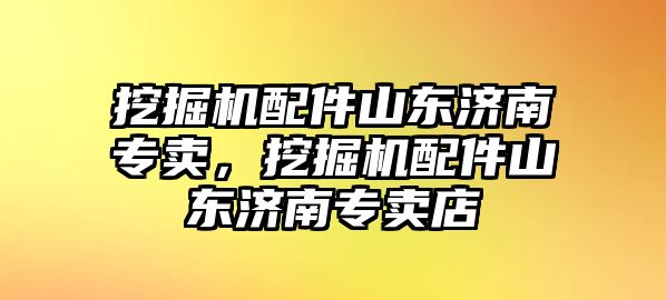 挖掘機配件山東濟南專賣，挖掘機配件山東濟南專賣店