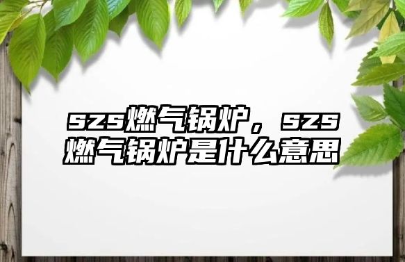 szs燃?xì)忮仩t，szs燃?xì)忮仩t是什么意思