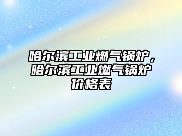 哈爾濱工業(yè)燃?xì)忮仩t，哈爾濱工業(yè)燃?xì)忮仩t價(jià)格表