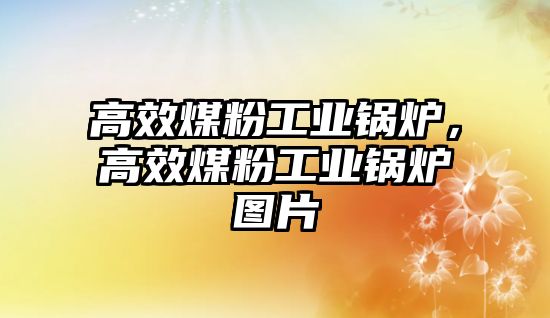 高效煤粉工業(yè)鍋爐，高效煤粉工業(yè)鍋爐圖片