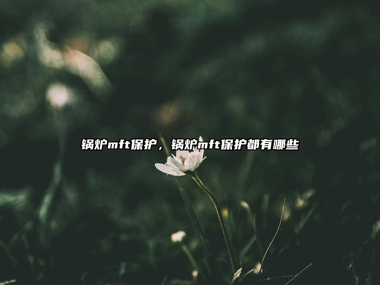 鍋爐mft保護，鍋爐mft保護都有哪些