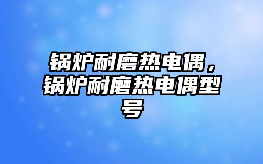 鍋爐耐磨熱電偶，鍋爐耐磨熱電偶型號(hào)