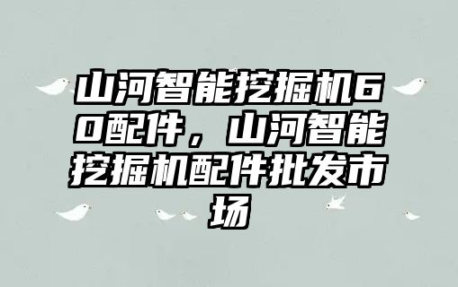 山河智能挖掘機(jī)60配件，山河智能挖掘機(jī)配件批發(fā)市場