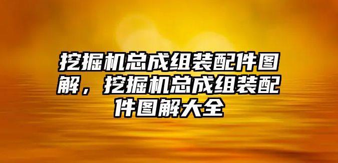 挖掘機總成組裝配件圖解，挖掘機總成組裝配件圖解大全