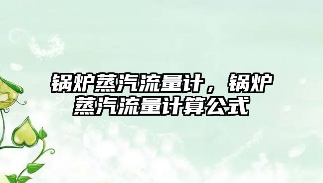 鍋爐蒸汽流量計，鍋爐蒸汽流量計算公式