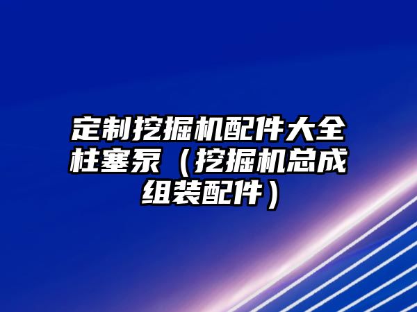 定制挖掘機配件大全柱塞泵（挖掘機總成組裝配件）