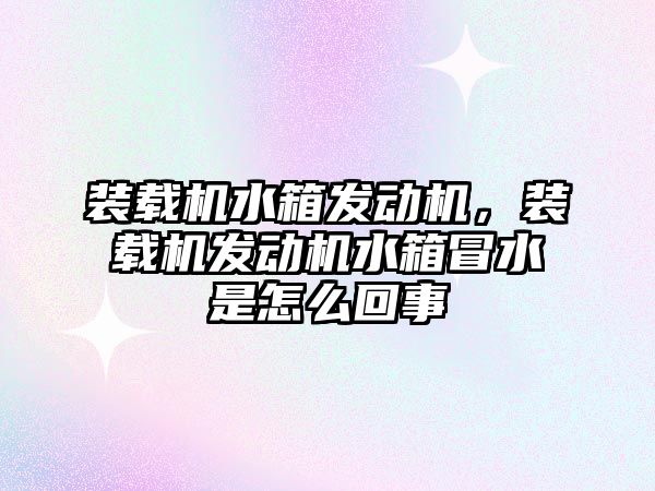 裝載機水箱發(fā)動機，裝載機發(fā)動機水箱冒水是怎么回事