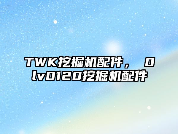 TWK挖掘機配件，ⅴ0lv0120挖掘機配件