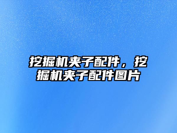 挖掘機夾子配件，挖掘機夾子配件圖片