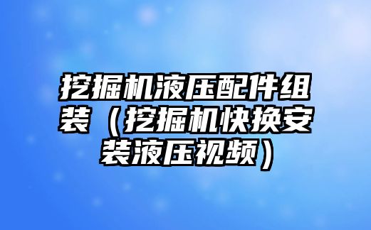 挖掘機(jī)液壓配件組裝（挖掘機(jī)快換安裝液壓視頻）