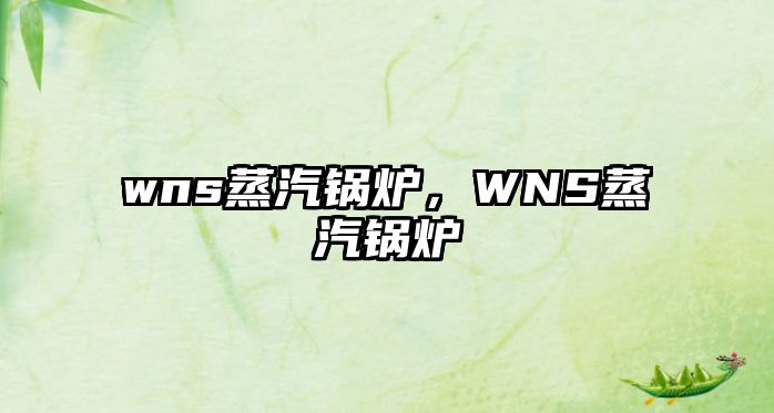 wns蒸汽鍋爐，WNS蒸汽鍋爐