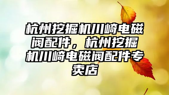 杭州挖掘機川崎電磁閥配件，杭州挖掘機川崎電磁閥配件專賣店