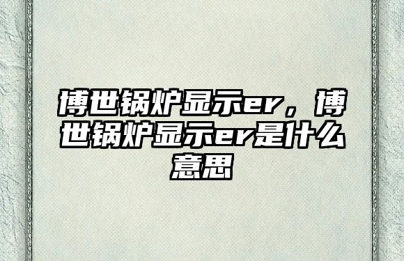 博世鍋爐顯示er，博世鍋爐顯示er是什么意思