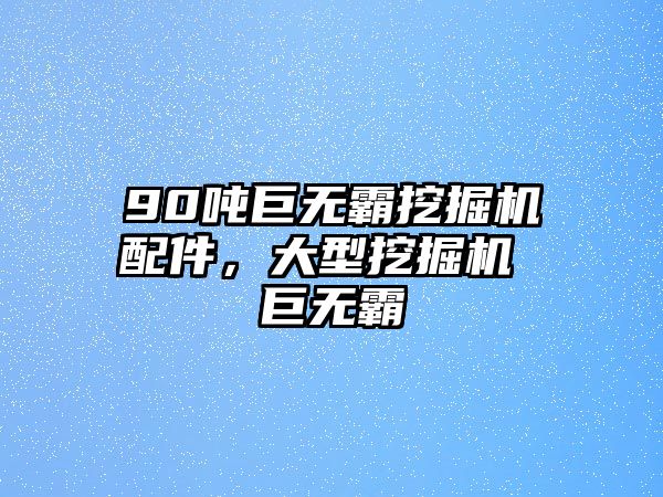 90噸巨無(wú)霸挖掘機(jī)配件，大型挖掘機(jī) 巨無(wú)霸