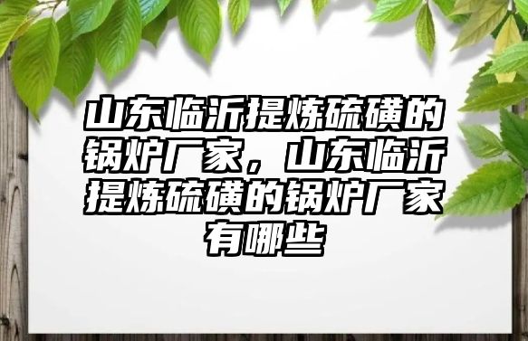 山東臨沂提煉硫磺的鍋爐廠家，山東臨沂提煉硫磺的鍋爐廠家有哪些