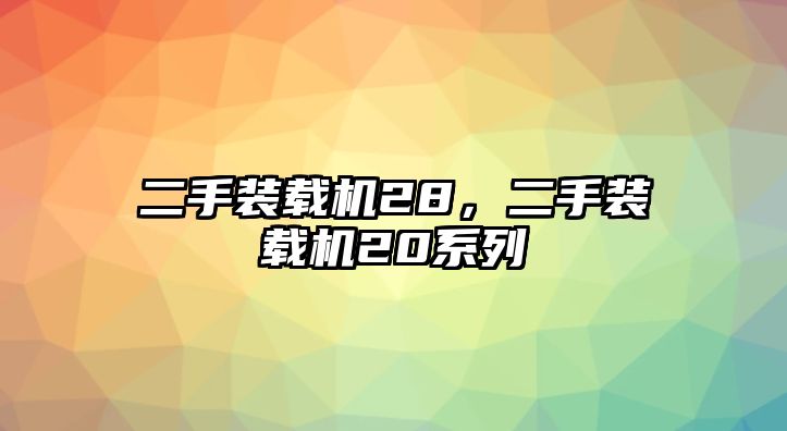 二手裝載機28，二手裝載機20系列