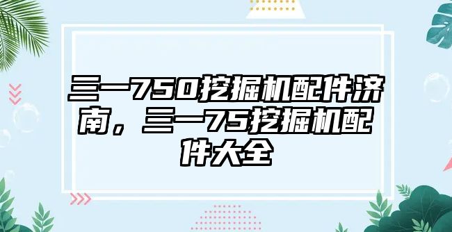 三一750挖掘機配件濟南，三一75挖掘機配件大全