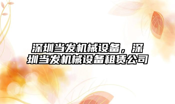 深圳當發(fā)機械設備，深圳當發(fā)機械設備租賃公司