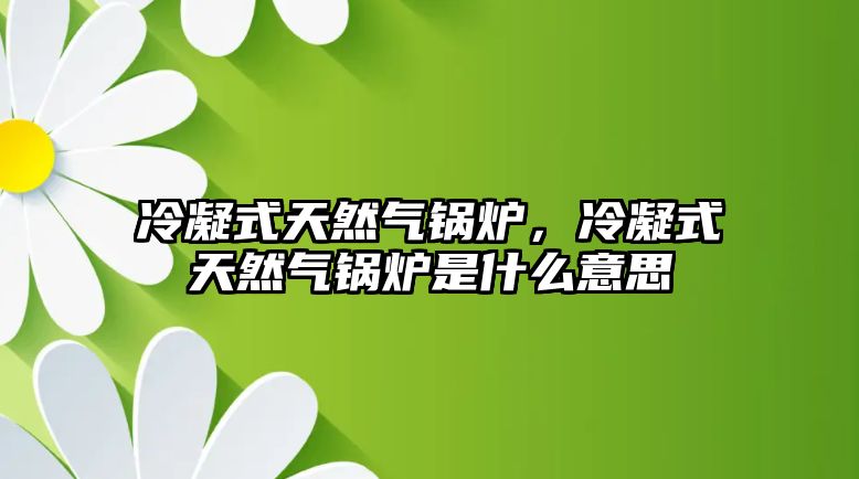 冷凝式天然氣鍋爐，冷凝式天然氣鍋爐是什么意思