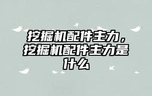 挖掘機(jī)配件主力，挖掘機(jī)配件主力是什么