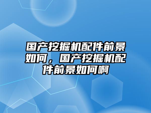 國產(chǎn)挖掘機配件前景如何，國產(chǎn)挖掘機配件前景如何啊