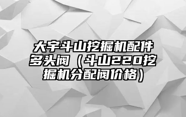 大宇斗山挖掘機(jī)配件多頭閥（斗山220挖掘機(jī)分配閥價格）