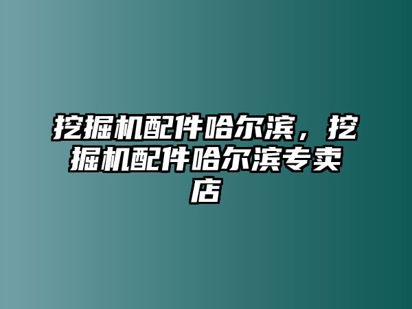 挖掘機配件哈爾濱，挖掘機配件哈爾濱專賣店