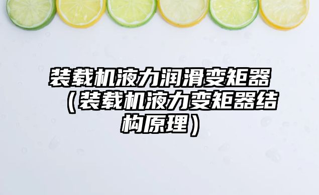 裝載機液力潤滑變矩器（裝載機液力變矩器結(jié)構(gòu)原理）