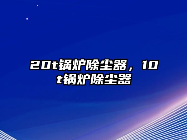 20t鍋爐除塵器，10t鍋爐除塵器