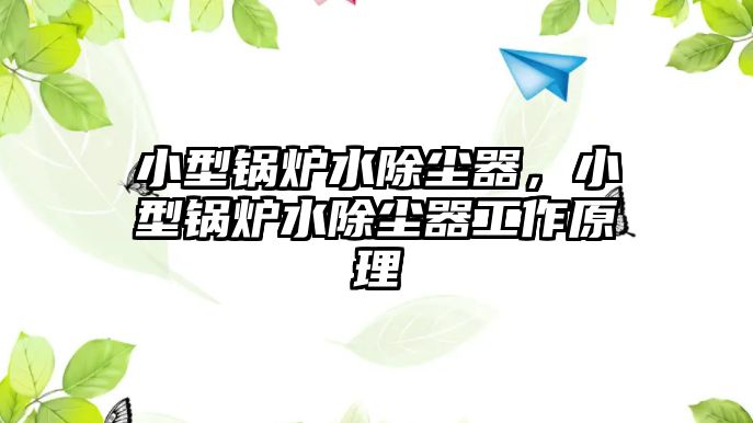 小型鍋爐水除塵器，小型鍋爐水除塵器工作原理