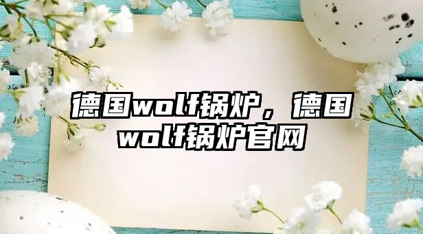 德國(guó)wolf鍋爐，德國(guó)wolf鍋爐官網(wǎng)