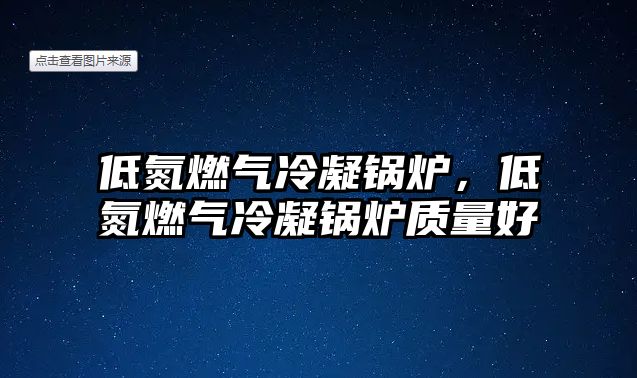 低氮燃氣冷凝鍋爐，低氮燃氣冷凝鍋爐質(zhì)量好