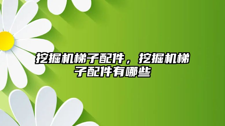 挖掘機梯子配件，挖掘機梯子配件有哪些