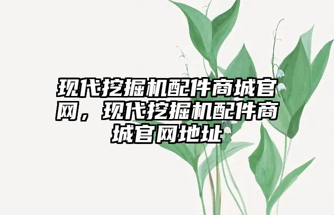 現(xiàn)代挖掘機配件商城官網，現(xiàn)代挖掘機配件商城官網地址