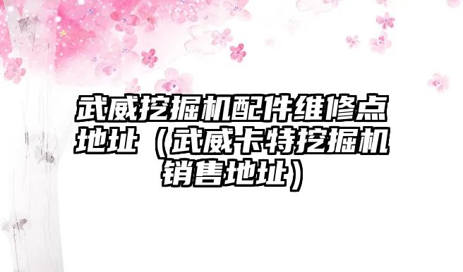 武威挖掘機(jī)配件維修點(diǎn)地址（武威卡特挖掘機(jī)銷(xiāo)售地址）