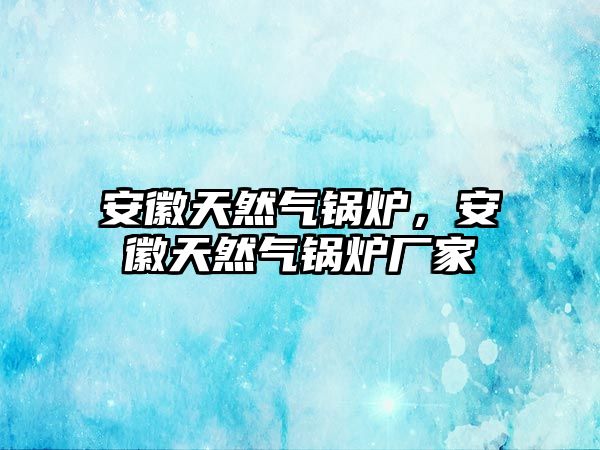 安徽天然氣鍋爐，安徽天然氣鍋爐廠家